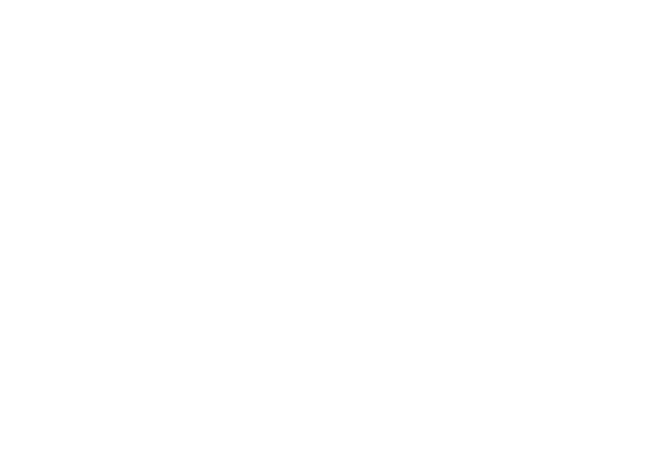 BalancePro Consulting